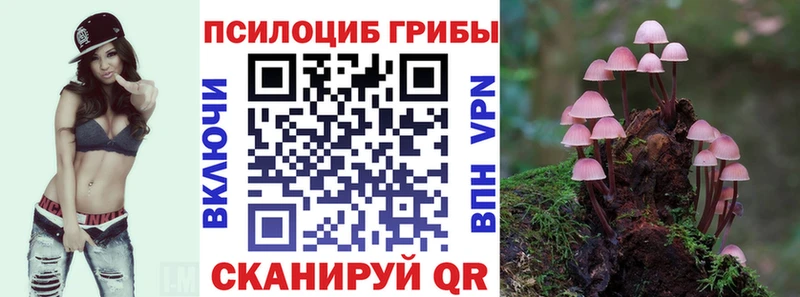 Купить  Ялуторовск  Псилоцибиновые грибы Magic Shrooms 